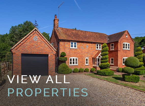 View All Properties