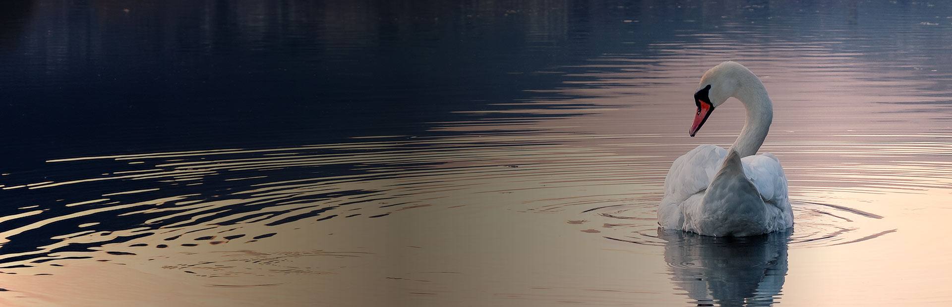 Estate Agents In Caversham | Bridges