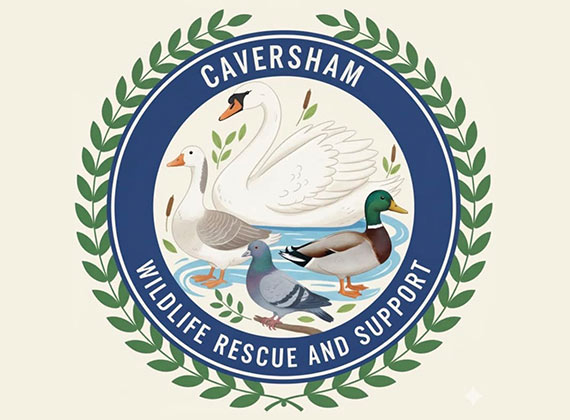 Bridges are proud to sponsor Caversham Wildlife Rescue and Support.