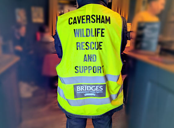 Bridges are proud to sponsor Caversham Wildlife Rescue and Support.